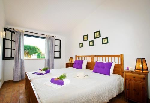 别墅（带独立泳池）