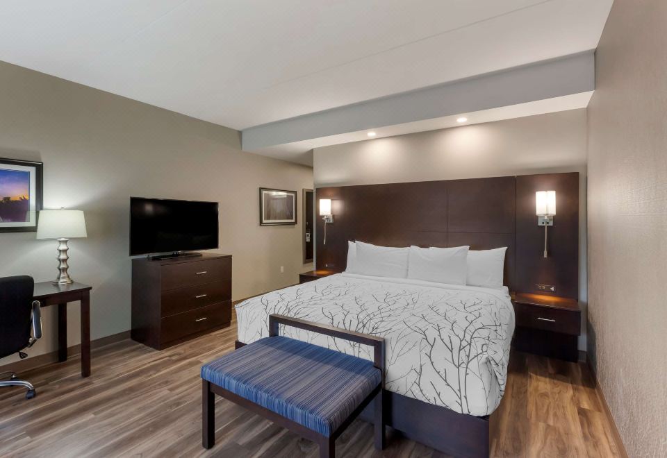 1张特大床， 无烟， 较大的房间， 双层床垫， 微波炉和冰箱