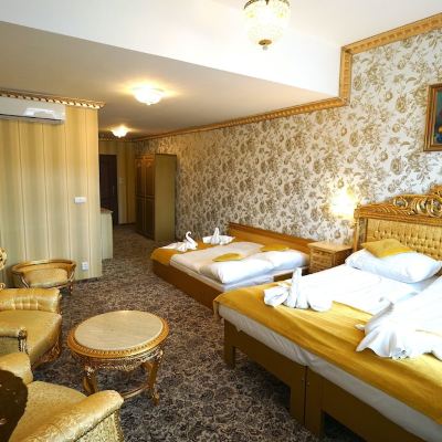 Royal Studio Suite, 1 Bedroom, City View Hotel Liliova Prague Old Town Promo Code