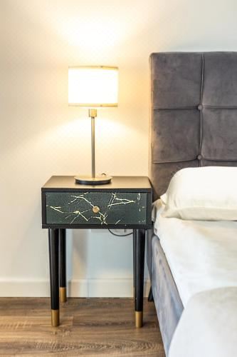 Walter Studio Sinaia One-Bedroom Apartment