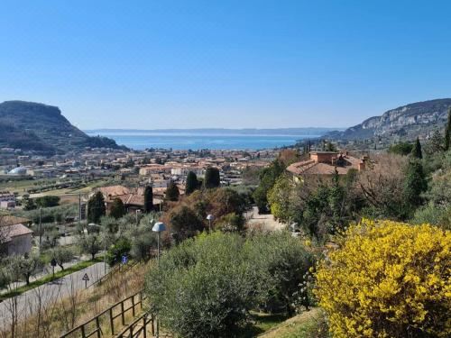 公寓 - 地面楼层