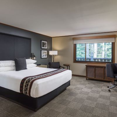 Premier Fireside Room Skamania Lodge Promo Code