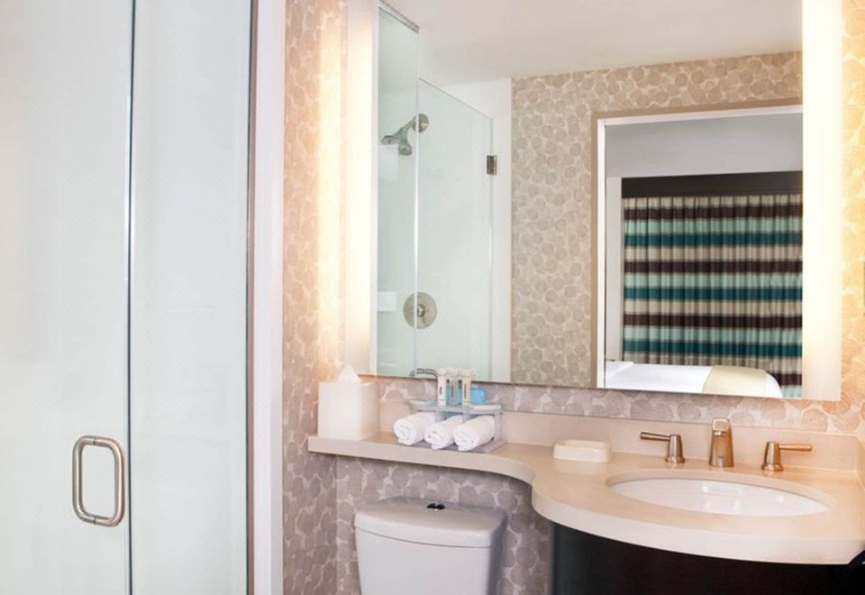 Holiday Inn Express MANHATTAN TIMES SQUARE SOUTH by IHGMobility Accessible Two Double Room with Roll in Shower