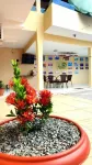 Hotel Pinto Martins