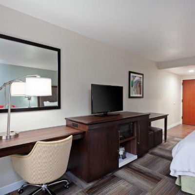 套房 - 帶特大床 禁煙 洛杉磯/阿卡迪亞希爾頓歡朋酒店優惠