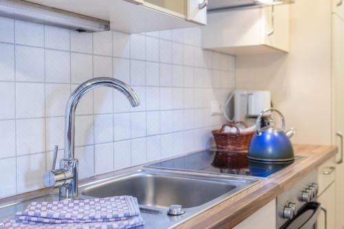 高级两卧室公寓