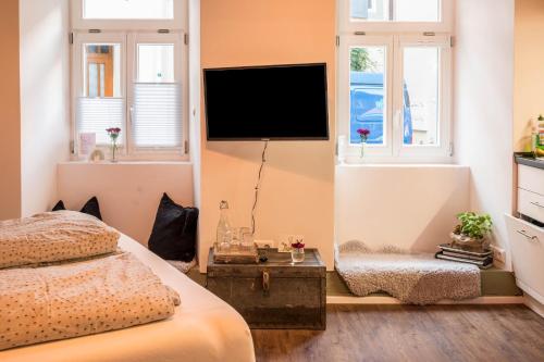 高级一卧室公寓