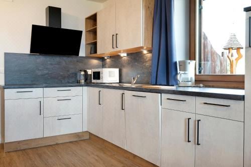 高级两卧室公寓