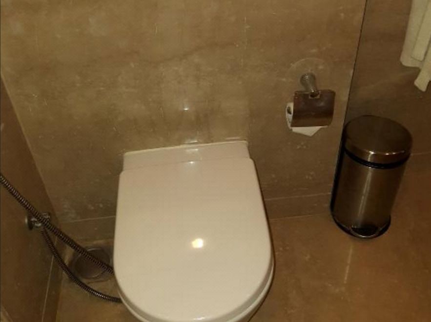 商務房（商務艙）