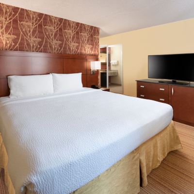 一卧室特大床套房 - 帶梳化床 傳奇公園達拉斯普萊諾萬怡酒店優惠