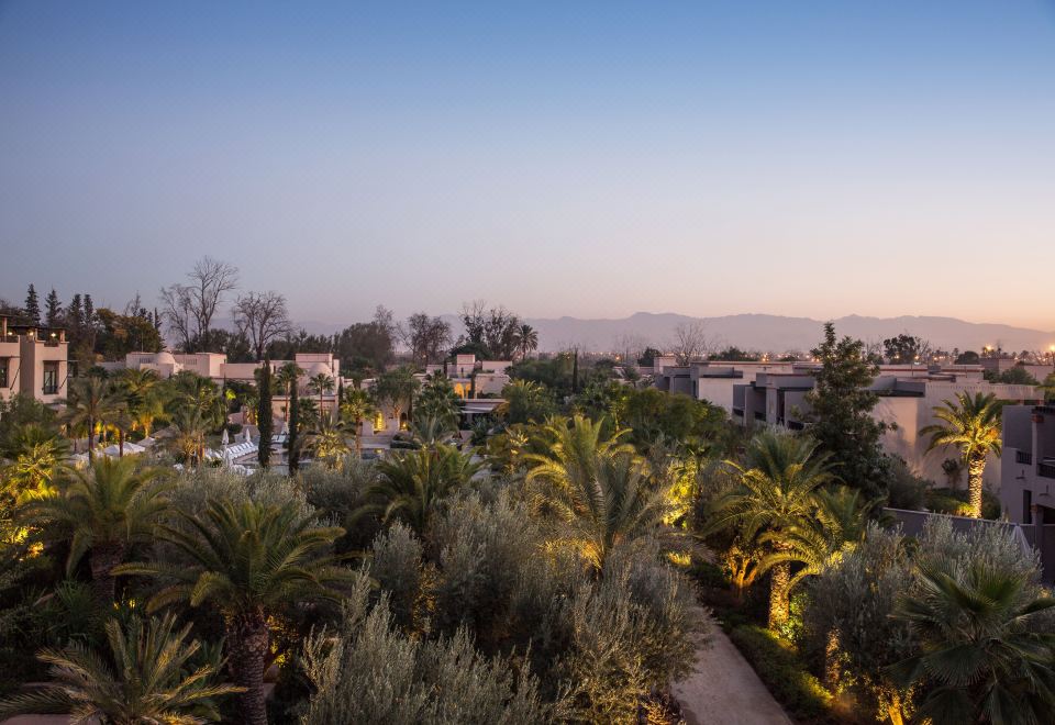 尊贵园景露台房