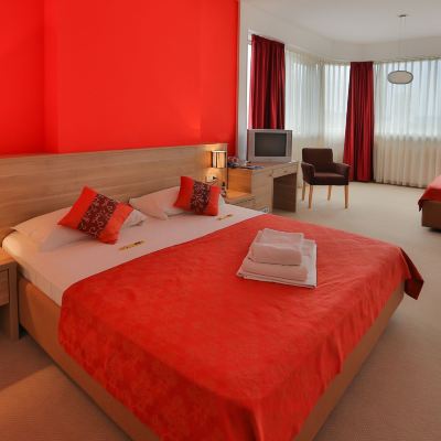 Standard Double Room With Double Bed Hotel Putnik Promo Code