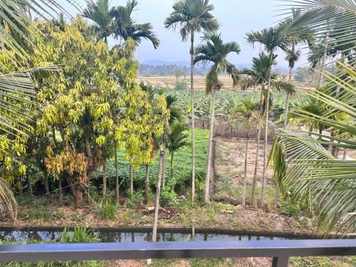 豪华特大床套房