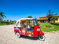 I Giardini Dell Olimpo - Zeus