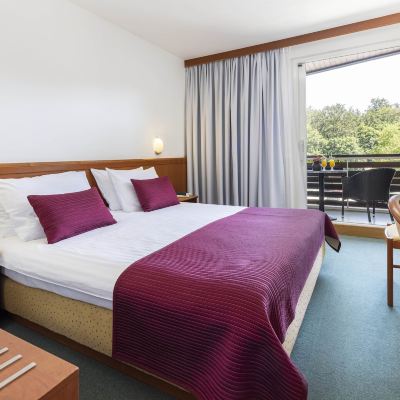 Standard Double Room-Park Side Hotel Jezero Promo Code