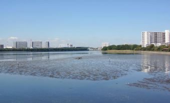 a body of water with a small island in the middle and tall buildings in the background at JR-EAST HOTEL METS FUNABASHI