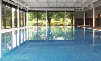 an empty indoor swimming pool surrounded by windows , with trees in the background and sunlight shining through the glass at Macdonald Inchyra Hotel and Spa