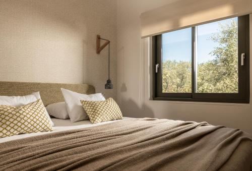 别墅（带独立泳池）