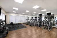 Holiday Inn Express & Suites DETROIT - DEARBORN by IHG
