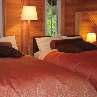 Detached Forest Villa With Private Jacuzzi And Onsen[Deluxe Suite][Twin Room][Non-Smoking][Mountain View] 飛瀬温泉　天河山荘 クーポン