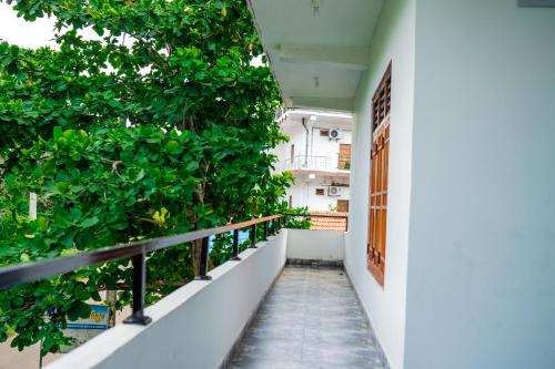 豪华双人或双床房