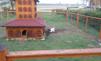 Tourist Farm Šalamun - Housity