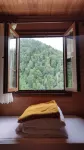 Fora Pansiyon Hotels in 