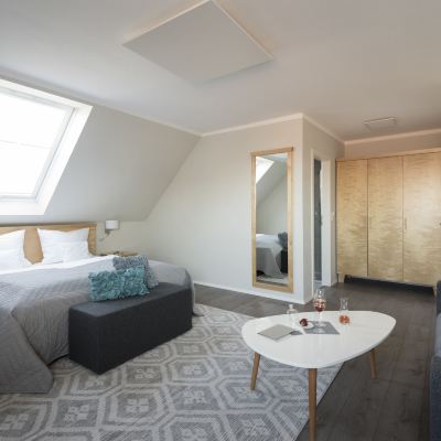 Double Room Bodenseehotel Renn Promo Code