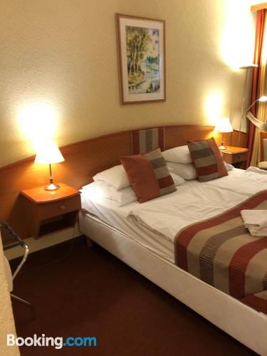 双人房-底楼-森林景观