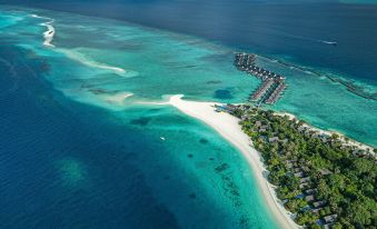 aerial view of a tropical island with a beach , white sand , and turquoise ocean at Four Seasons Resort Maldives at Landaa Giraavaru