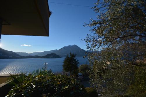 一卧室公寓（带阳台）