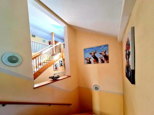 开放式客房， 山景