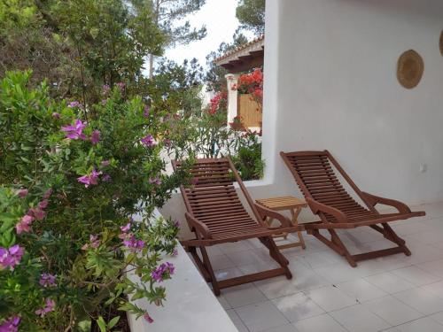 标准一卧室公寓