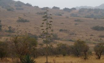 Klipspringer Game Lodge