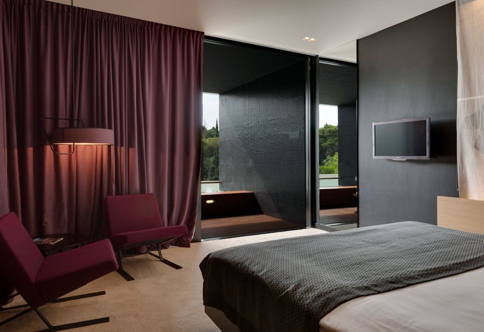 豪华房（带小型泳池） 禁烟