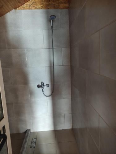 经济双人或双床间