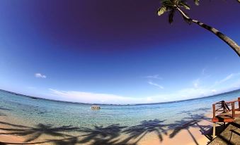a beach scene with palm trees and the ocean , taken from a low angle perspective at Fiji Hideaway Resort and Spa