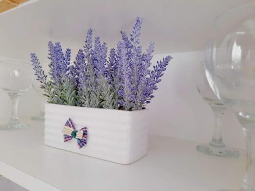 豪华双人一室房