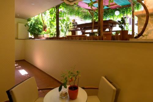 经济型公寓 - 半地下室