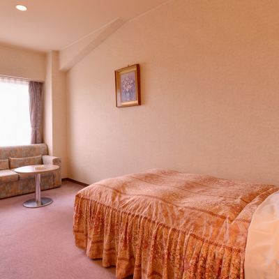 標準シングルルーム 10～15平方メートル 福地温泉　バーデパーク　アヴァンセふくち クーポン