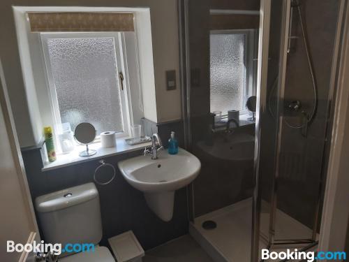 园景标准双床房