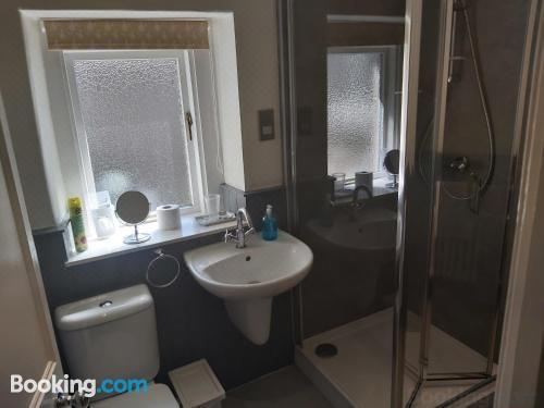 园景标准双床房