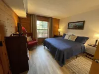 Cozy Ozarks Retreat ~ Updated Cabin Condo with Screened Porch