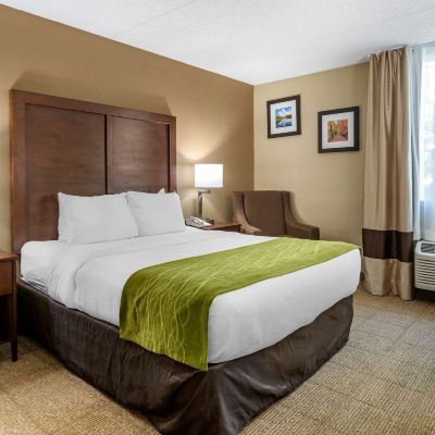 特大床房間-無障礙-非吸煙 愛迪生-新布藍茲維舒適酒店優惠