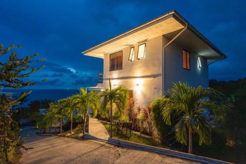 别墅（带独立泳池）