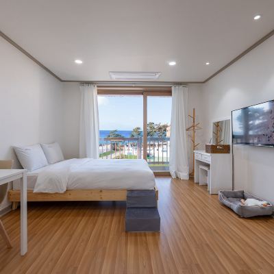 A-205 Ocean View Deluxe Pet Companion Room (One-Room Suite Offer Panoramic Ocean View, Pet Friendly) 골든웨이브 펜션 태안 쿠폰