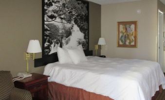 Econo Lodge Inn & Suites