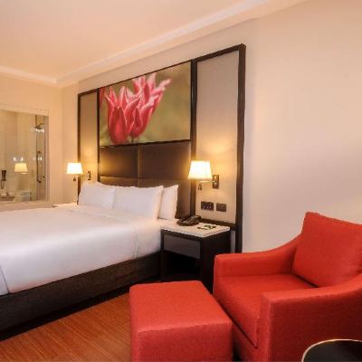 King Room With Roll-in Shower-Mobility Accessible Hilton Garden Inn Lima Surco, Peru Promo Code