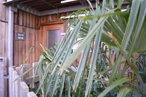 三卧室房屋