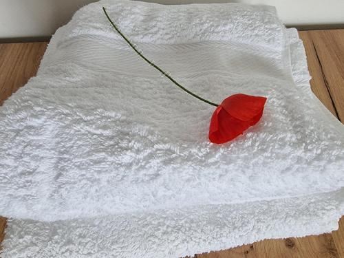 湖景双人或双床间